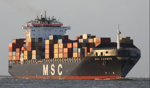 中国民生租赁一下单造的新船,立马被瑞士地中海航运MSC租走