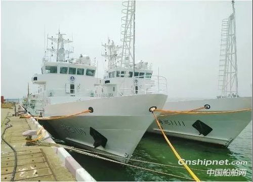 公务船 Cat 卡特 船用动力设备助力海南海事局巡逻船